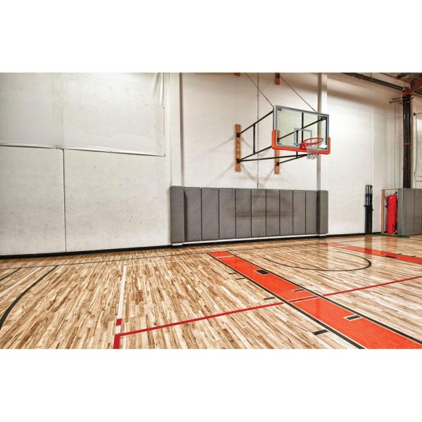 Basketball Goal Digital Backdrop Download Cheap