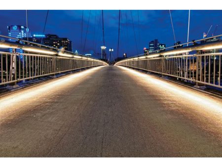 Bridge at Night Digital Backdrop Download Online now