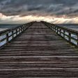 Pier Digital Backdrop Download Online Sale