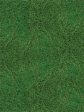 Sports Field Backdrop and Grass Floor Drop Bundle Online