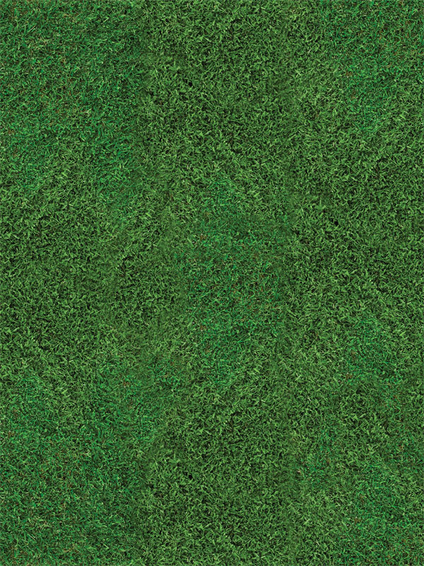 Sports Field Backdrop and Grass Floor Drop Bundle Online