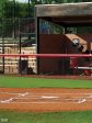 Home Plate Photography Backdrop Hot on Sale