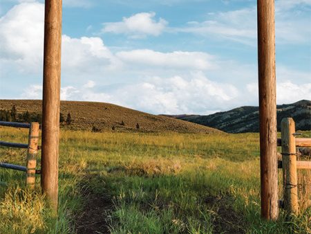 Yellowstone Ranch Photography Backdrop For Cheap