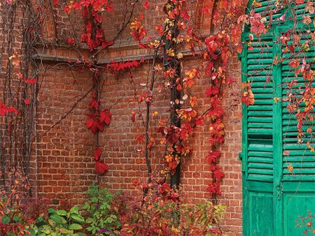 Autumn Brick Courtyard Backdrop for Photography Supply