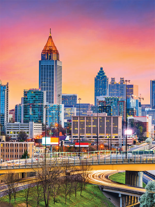 Atlanta Skyline Photography Backdrop For Cheap