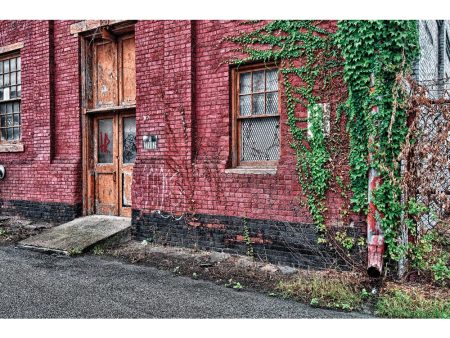 Orange Doors Digital Backdrop Download on Sale