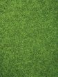 Spring Wedding Backdrop and Grassy Knoll Floor Drop Bundle Supply