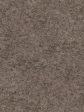 Spring Wood Wall Backdrop and Gray Dirt Floor Drop Bundle Supply