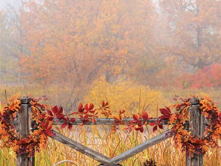 Autumn Harvest Celebration Photography Backdrop Online Sale