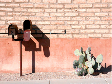 Desert Mailbox   Photography Print For Sale