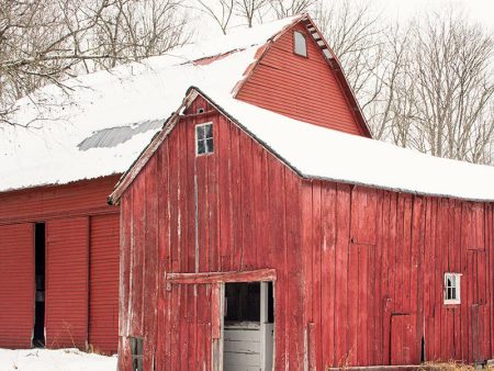 Barn Duo   Photography Print Supply