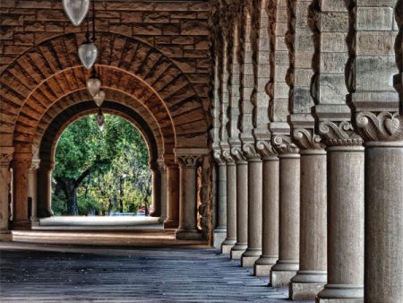 Stanford Printed Photography Backdrop on Sale